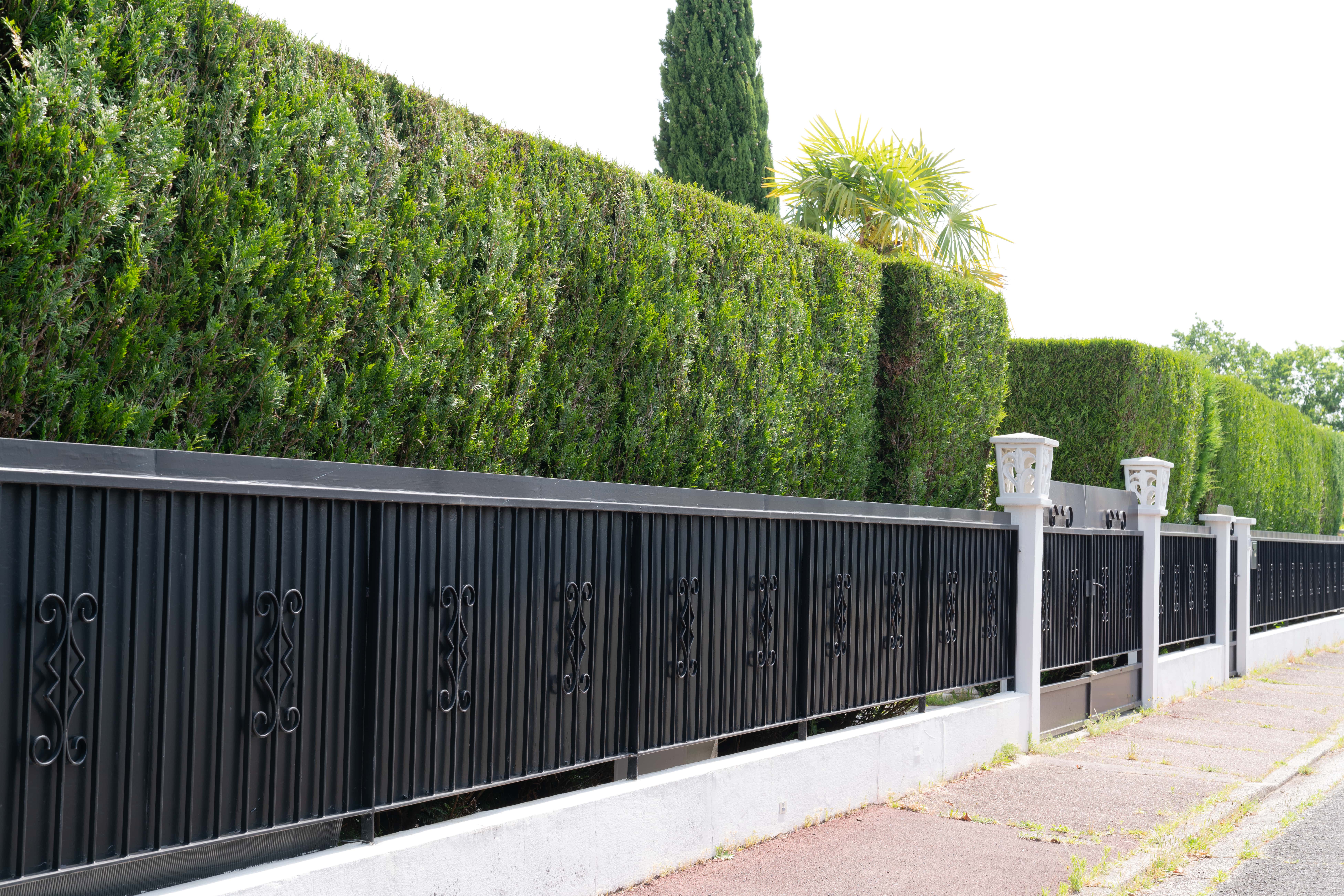 Clôtures et Palissades